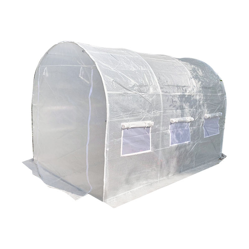 温室与塑料隧道：哪种种植结构是全年收益的最佳投资？