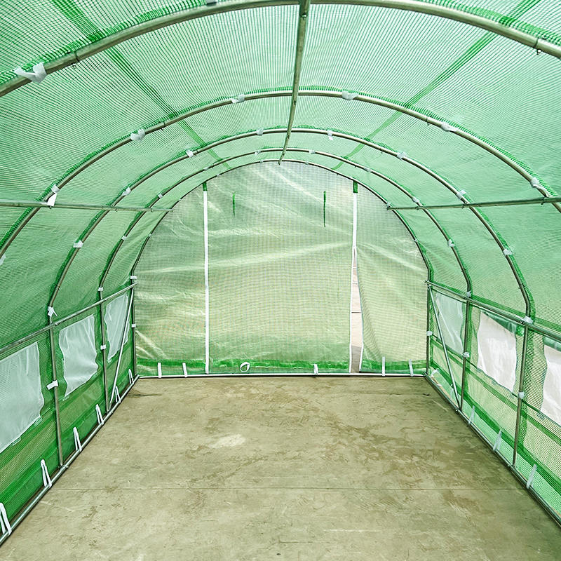3x6x2m WeatherGuard圆形顶部温室和多孔