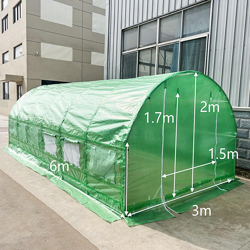 3x6x2m WeatherGuard圆形顶部温室和多孔