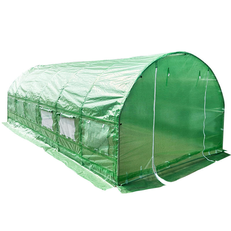 3x6x2m WeatherGuard圆形顶部温室和多孔
