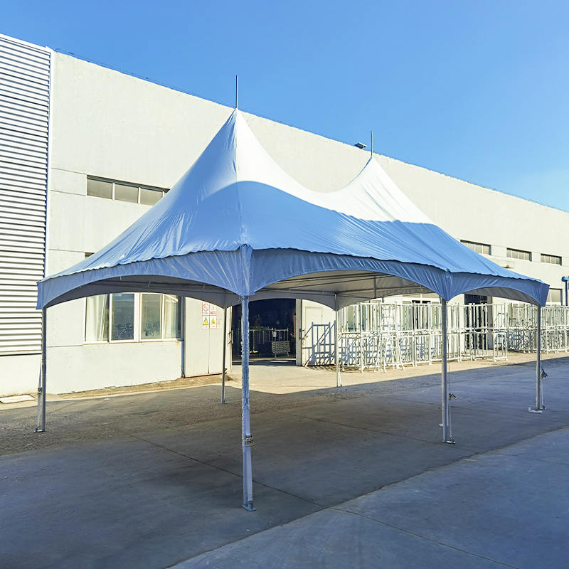20“ x30”（6x9m）PVC高峰铝制框架派对帐篷